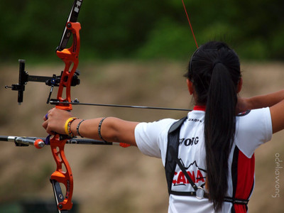 

Sports Archery Wall Poster Paper Print(12 inch X 18 inch, Rolled)