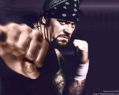 

Sports Wrestling Undertaker WWE HD Wall Poster Paper Print(12 inch X 18 inch, Rolled)