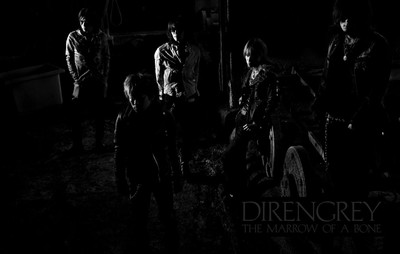 

Music Dir En Grey Band (Music) Japan Band Wall Poster Fine Art Print(12 inch X 18 inch, Rolled)
