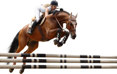 

Sports Show Jumping HD Wall Poster Paper Print(12 inch X 18 inch, Rolled)
