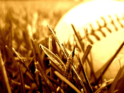 

Sports Baseball Wall Poster Paper Print(12 inch X 18 inch, Rolled)