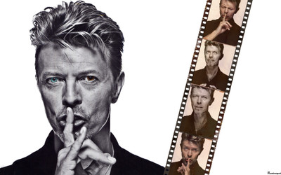 

Music David Bowie Singers United Kingdom HD Wallpaper Background Fine Art Print(12 inch X 18 inch, Rolled)