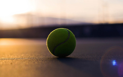 

Sports Tennis Wall Poster Paper Print(12 inch X 18 inch, Rolled)
