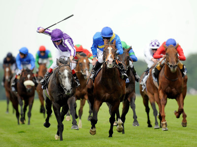 

Sports Horse Racing Racing Wall Poster Paper Print(12 inch X 18 inch, Rolled)