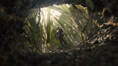 

Movie Ant-Man HD Wallpaper Background Paper Print(12 inch X 18 inch, Rolled)