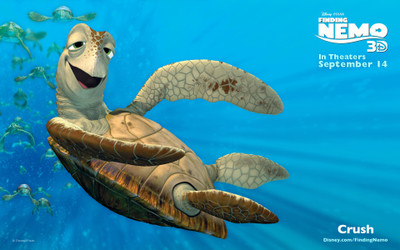 

Movie Finding Nemo Disney Pixar Turtle HD Wallpaper Background Paper Print(12 inch X 18 inch, Rolled)