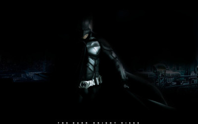 Batman The Dark Knight Rises Movie Silk Poster 13x20 24x36 inch 006