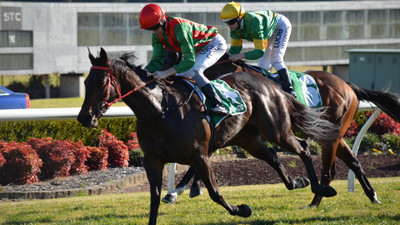 

Sports Horse Racing Horse Animal Jockey Race Sydney Races HD Wall Poster Paper Print(12 inch X 18 inch, Rolled)