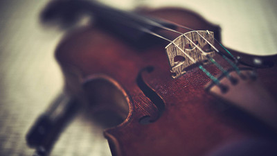 

Akhuratha Music Violin Wall Poster Fine Art Print(12 inch X 18 inch, Rolled)