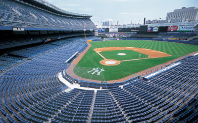 

Sports Stadium New York Wall Poster Paper Print(12 inch X 18 inch, Rolled)