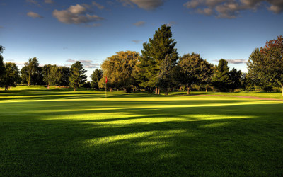 

Sports Golf Wall Poster Paper Print(12 inch X 18 inch, Rolled)