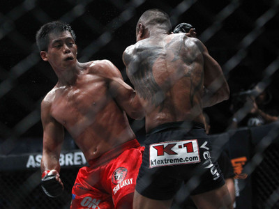 

Sports MMA HD Wall Poster Paper Print(12 inch X 18 inch, Rolled)