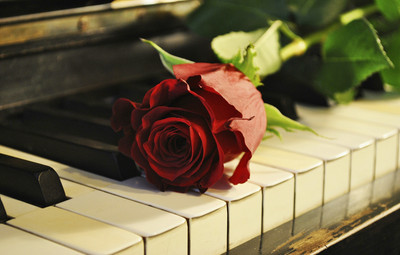 

Music Piano HD Wallpaper Background Fine Art Print(12 inch X 18 inch, Rolled)