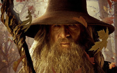 

Movie The Lord Of The Rings Gandalf HD Wallpaper Background Paper Print(12 inch X 18 inch, Rolled)