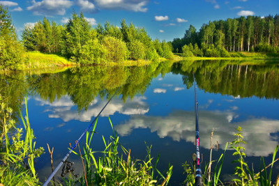 

Sports Fishing River Green Nature HD Wall Poster Paper Print(12 inch X 18 inch, Rolled)
