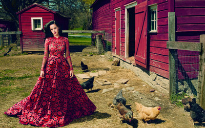 

Music Katy Perry Singers United States HD Wallpaper Background Fine Art Print(12 inch X 18 inch, Rolled)