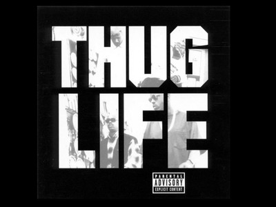 

Music Thug Life HD Wallpaper Background Fine Art Print(12 inch X 18 inch, Rolled)