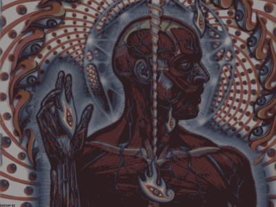 Music Tool HD Wallpaper Background Fine Art Print(12 inch X 18 inch, Rolled)