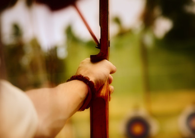 

Sports Archery Wall Poster Paper Print(12 inch X 18 inch, Rolled)
