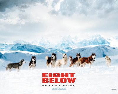

Akhuratha Poster Movie Eight Below HD Wallpaper Background Fine Art Print(12 inch X 18 inch, Rolled)