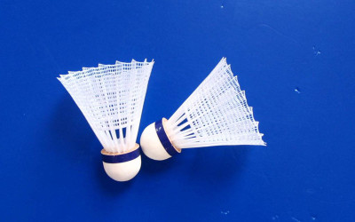 

Sports Badminton Wall Poster Paper Print(12 inch X 18 inch, Rolled)