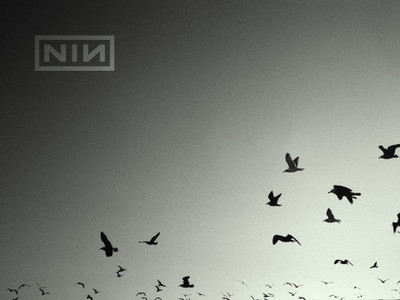 

Music Nine Inch Nails Band (Music) United States HD Wallpaper Background Fine Art Print(12 inch X 18 inch, Rolled)