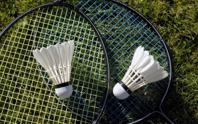 

Sports Badminton Wall Poster Paper Print(12 inch X 18 inch, Rolled)