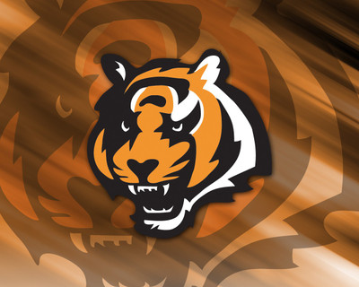 

Sports Cincinnati Bengals Football HD Wall Poster Paper Print(12 inch X 18 inch, Rolled)