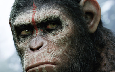 

Movie Dawn Of The Planet Of The Apes HD Wallpaper Background Paper Print(12 inch X 18 inch, Rolled)