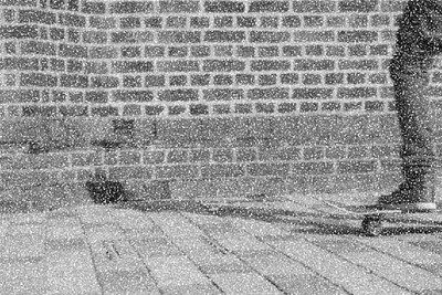 

Sports Skateboarding Wall Poster Paper Print(12 inch X 18 inch, Rolled)
