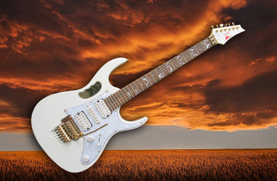 

Music Guitar Instrument White Wall Poster Fine Art Print(12 inch X 18 inch, Rolled)