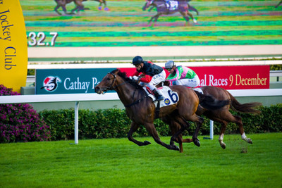 

Sports Horse Racing HD Wall Poster Paper Print(12 inch X 18 inch, Rolled)