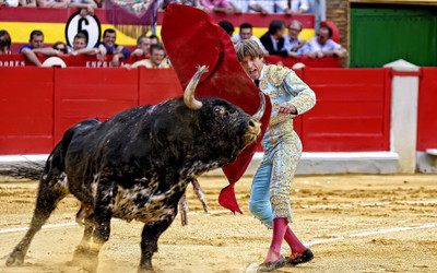 

Sports Bullfighting HD Wall Poster Paper Print(12 inch X 18 inch, Rolled)
