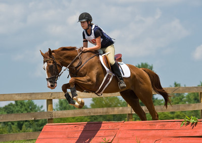 

Sports Show Jumping Wall Poster Paper Print(12 inch X 18 inch, Rolled)