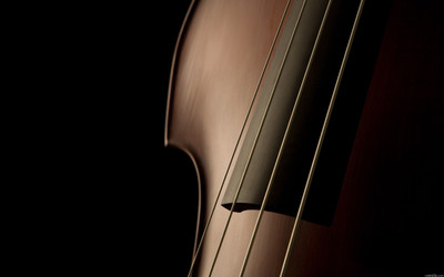 

Music Violin HD Wallpaper Background Fine Art Print(12 inch X 18 inch, Rolled)