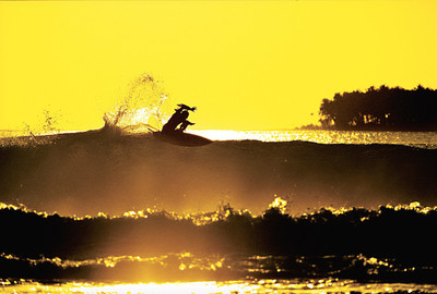 

Sports Surfing Wave Surfer Surfboard Wall Poster Paper Print(12 inch X 18 inch, Rolled)
