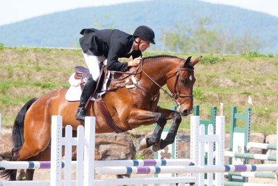 

Sports Show Jumping Wall Poster Paper Print(12 inch X 18 inch, Rolled)