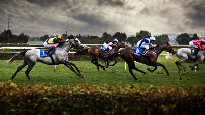 

Sports Horse Racing Horse Wall Poster Paper Print(12 inch X 18 inch, Rolled)