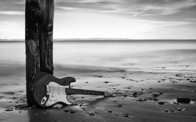 

Music Guitar Wall Poster Fine Art Print(12 inch X 18 inch, Rolled)