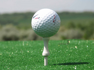 

Sports Golf HD Wall Poster Paper Print(12 inch X 18 inch, Rolled)