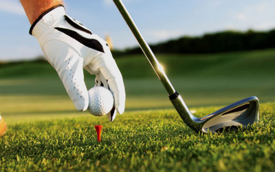 

Sports Golf Hand Glove Golf Club Golf Ball Tee Wall Poster Paper Print(12 inch X 18 inch, Rolled)
