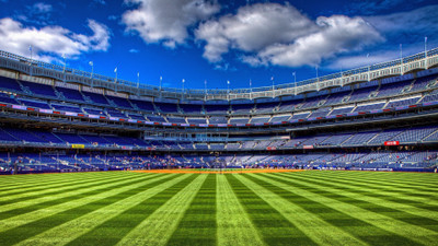 

Sports Stadium Wall Poster Paper Print(12 inch X 18 inch, Rolled)