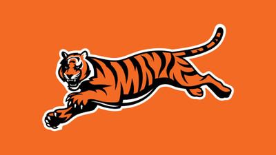 

Sports Cincinnati Bengals Football Wall Poster Paper Print(12 inch X 18 inch, Rolled)