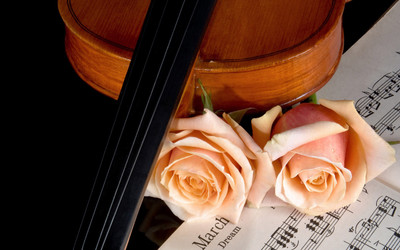 

Music Artistic HD Wallpaper Background Fine Art Print(12 inch X 18 inch, Rolled)