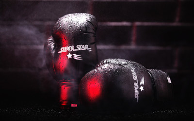 

Sports Boxing Wall Poster Paper Print(12 inch X 18 inch, Rolled)