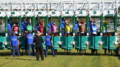 

Sports Horse Racing Original Photography Colorful Horse Jockey Animal Race Races Sydney People HD Wall Poster Paper Print(12 inch X 18 inch, Rolled)