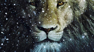 

Movie The Chronicles Of Narnia: The Voyage Of The Dawn T Narnia Lion Dawn HD Wallpaper Background Paper Print(12 inch X 18 inch, Rolled)