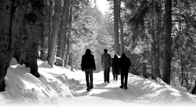 

Akhuratha Music Agalloch Band (Music) United States Wall Poster Fine Art Print(12 inch X 18 inch, Rolled)