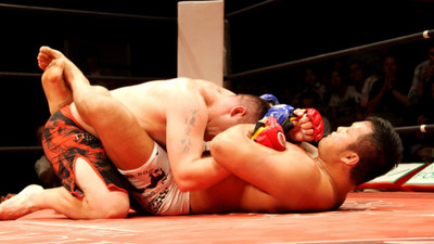 

Sports MMA HD Wall Poster Paper Print(12 inch X 18 inch, Rolled)
