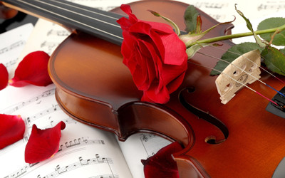 

Music Violin HD Wallpaper Background Fine Art Print(12 inch X 18 inch, Rolled)